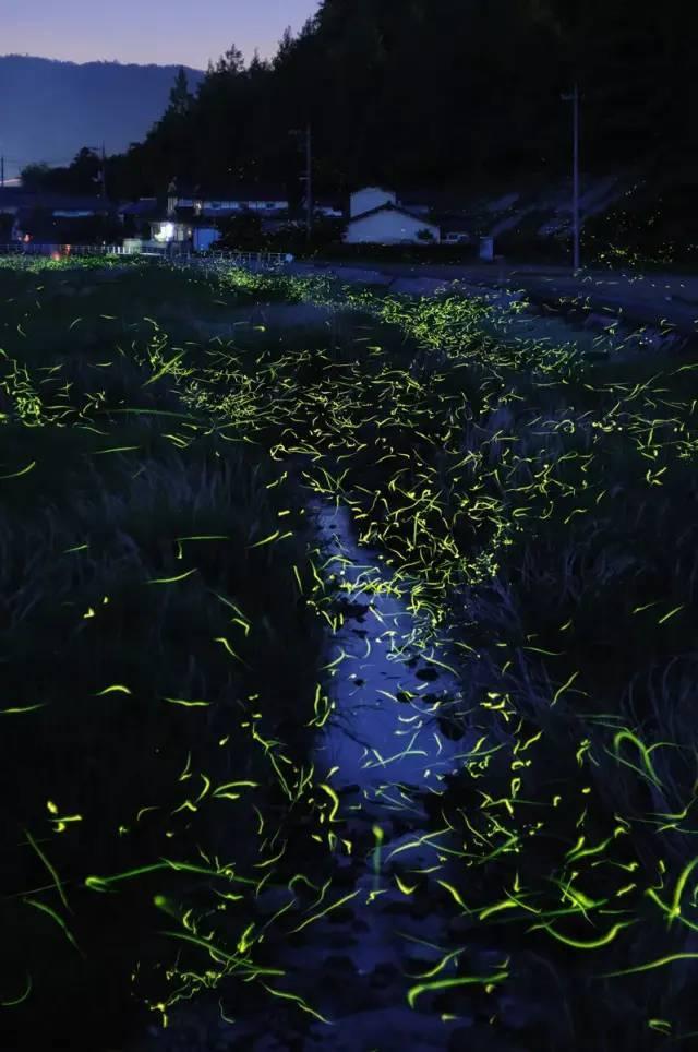 森迪公主夏日度假